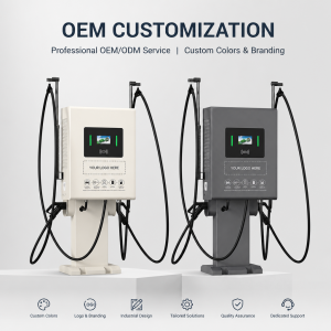 Smart 80kW Dual Outlet Free Standing Commercial DC Fast Charger with Remote Diagnostics System
