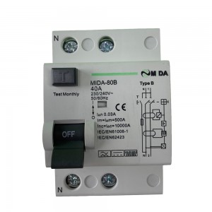 40A 63A 100A 2P B Type RCD RCCB Circuit Breaker