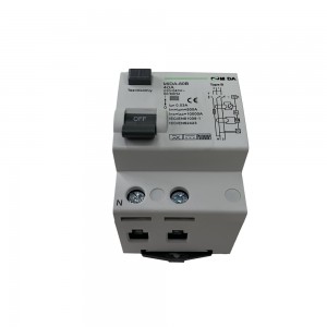 40A 63A 100A 2P B Type RCD RCCB Circuit Breaker