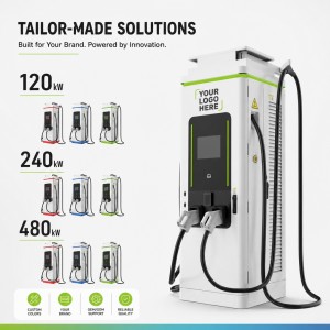 Reliable 80kW DC Fast Charging Station IP55 Outdoor Waterproof with POS Payment Terminal