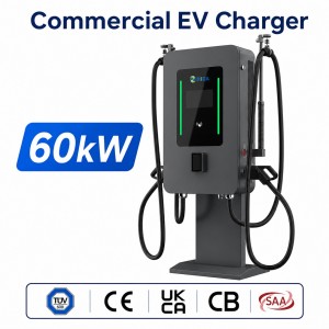 60kW Free Standing Dual Gun Commercial EV Charger with Dual 30kW Independent Power Modules